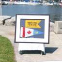 2004 - TOWARF&acute;s 50th Anniversary #4: 