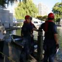 ISAR 2007 - Toronto, Ontario #247: 