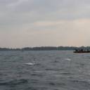 ISAR 2007 - Toronto, Ontario #340: 