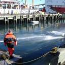 ISAR 2005 - Halifax #6: 