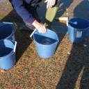 ISAR 2005 - Halifax #22: 