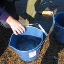 ISAR 2005 - Halifax #23: 