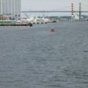 ISAR 2005 - Halifax #97: 