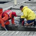 2006 - SAR Challange - Port Colborne #191: 